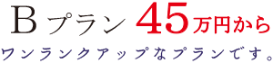 Bプラン 45万円から ワンランクアップなプランです。